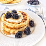 Desayuno de waffles con yogur y zarzamoras