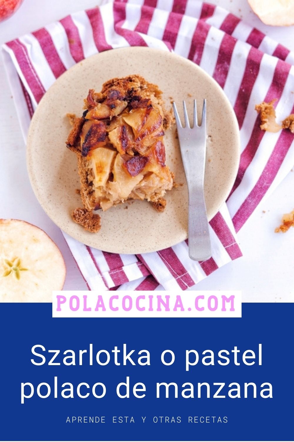 szarlotka o pastel polaco de manzana