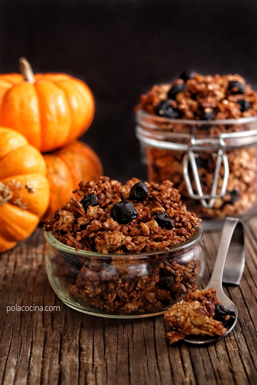 Granola de calabaza y chocolate