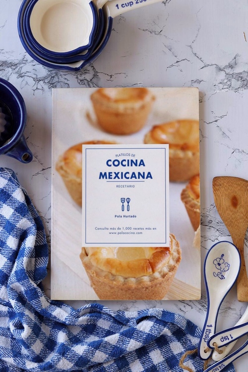 libro Platillos de cocina mexicana